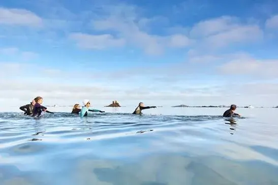 Marche aquatique à Carantec en baie de Morlaix