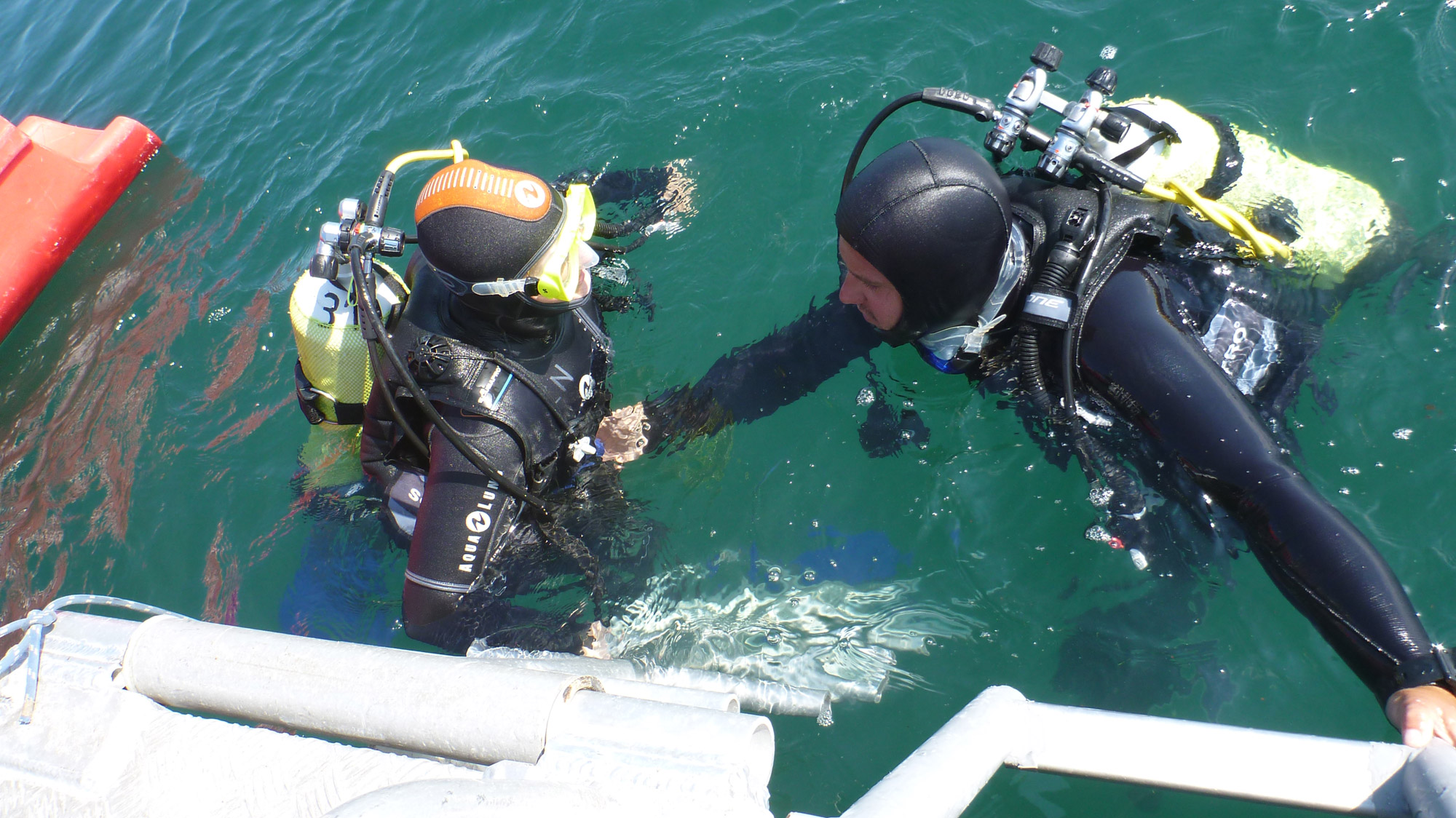 Initiation baptême de plongée enfant et adulte en Baie de Morlaix, départ Carantec Initiation baptême de plongée enfant et adulte en Baie de Morlaix, départ Carantec