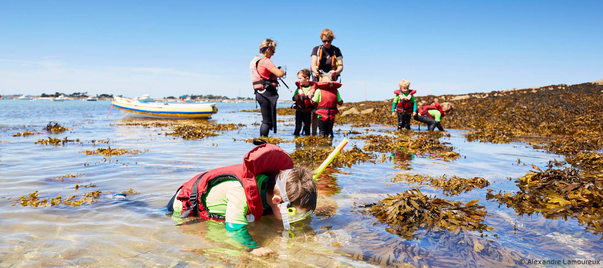 Découverte de la vie sous-marine Jardins des mers © Alexandre Lamoureux